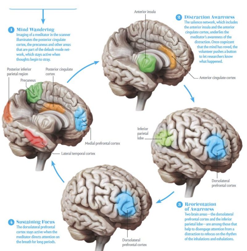 what-is-non-dual-meditation-zenist